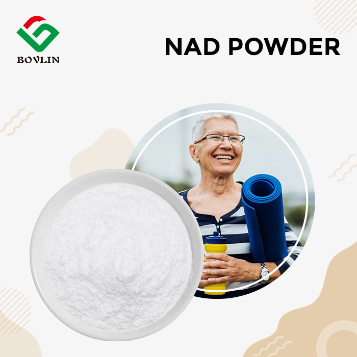 NAD Powder NAD Powder
